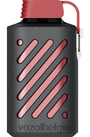 VOZOL GEAR 10000 T0VP4T290 - VOZOL Review drakenfruit banaan kers