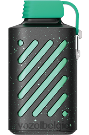 VOZOL GEAR 10000 T0VP4T313 - VOZOL Brussel watermeloen kauwgom