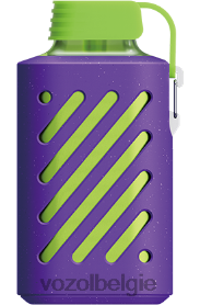 VOZOL GEAR 10000 T0VP4T315 - VOZOL Kopen bosbessen ijs