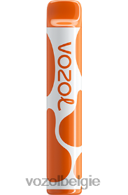 VOZOL JOYGO 600 T0VP4T384 - VOZOL Smaken liefde 777