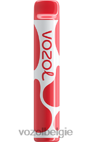 VOZOL JOYGO 600 T0VP4T385 - VOZOL Kopen lychee guave watermeloen