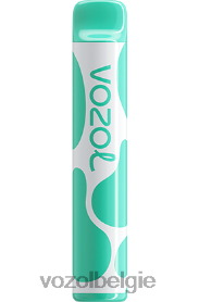 VOZOL JOYGO 600 T0VP4T387 - VOZOL Kopen Belgie menthol