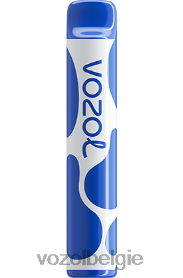 VOZOL JOYGO 600 T0VP4T390 - VOZOL Review bosbessen storm