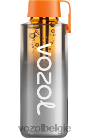 VOZOL NEON 10000 T0VP4T228 - VOZOL Vape Store regenboog zuur