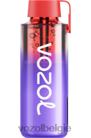 VOZOL NEON 10000 T0VP4T242 - VOZOL Vape België bramen ijs