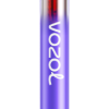 VOZOL NEON 800 T0VP4T282 - VOZOL Vape België bramen ijs