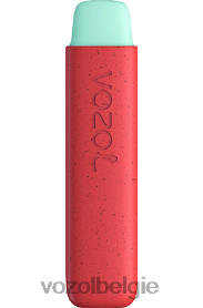 VOZOL STAR 550 T0VP4T138 - VOZOL Vape Store appel perzik