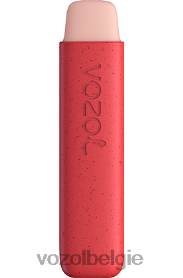 VOZOL STAR 550 T0VP4T145 - VOZOL Kopen aardbeienijs