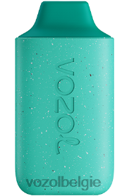 VOZOL STAR 6000 T0VP4T110 - VOZOL Review frisse munt