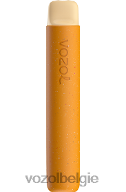 VOZOL STAR 600 T0VP4T82 - VOZOL Vape België ijskoude mango