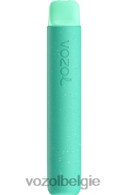 VOZOL STAR 600 T0VP4T92 - VOZOL Vape België groene munt