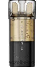 VOZOL SWITCH pro T0VP4T169 - VOZOL Vape Shop bosbessen ijs